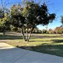 Serrania Park