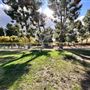 Bouquet Canyon Park
