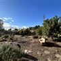 Central Park
