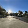 Central Park