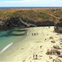 Mendocino Headlands State Park (SP)