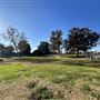 Cheviot Hills Park
