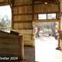 Tejon Ranch