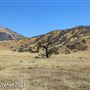 Tejon Ranch