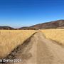 Tejon Ranch
