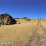 Tejon Ranch