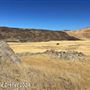 Tejon Ranch