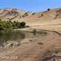 Tejon Ranch