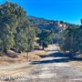 Tejon Ranch