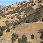 Tejon Ranch