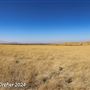 Tejon Ranch