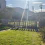 Front yard in quiet Long Beach Neighborhood