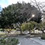 Media Park