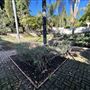 Wattles Mansion & Gardens