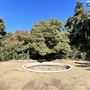 Wattles Mansion & Gardens