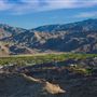 Palm Desert