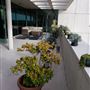 5757 Wilshire Blvd., Penthouse 20, Miracle Mile 90036