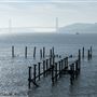 Angel Island State Park (SP)