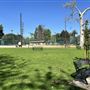 Garfield Park