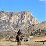 River Oaks Ranch
