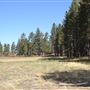 Camp Whittle