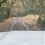 Long Creek Ranch