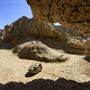 Anza-Borrego Desert State Park (SP)
