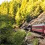 Skunk Train - California Western Railroad
