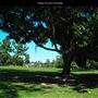 Golden Hill Park
