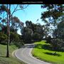 Junipero Serra Museum