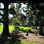 Junipero Serra Museum