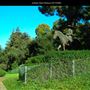 Junipero Serra Museum
