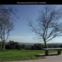 Kate Sessions Memorial Park