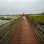 Bolsa Chica Ecological Reserve - California Department of Fish & Wildlife (CDFW)
