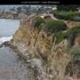 La Jolla Cove