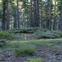Burton Creek State Park (SP)
