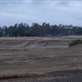Clay Pit State Vehicular Recreation Area (SVRA)
