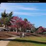 Montgomery-Waller Community Park