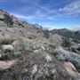Kern River Valley Desert Mountains & Lake View