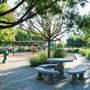 Emerson Park