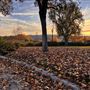 Bridgeport: Picturesque, New England-Inspired Aesthetic in Los Angeles