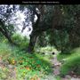 Presidio Park