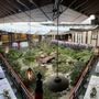 Yamashiro Hollywood - Historic Restaurant, Hotel & Gardens
