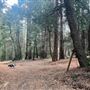 4 Log Cabins and 15 Wooded Acres Near Crestline, CA