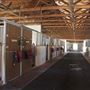 Ventura Farms