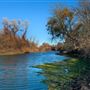 Bidwell-Sacramento River State Park (SP)