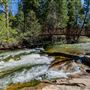 Calaveras Big Trees State Park (SP)