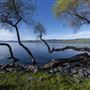 Clear Lake State Park (SP)