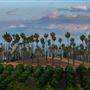 California Citrus State Historic Park (SHP)