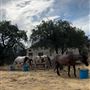 Bufford Ranch, managed by Golden Ranch Estates